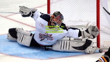 德甲新赛季前瞻，拜仁冲击12连冠，勒沃库森能否延续黑马传奇？