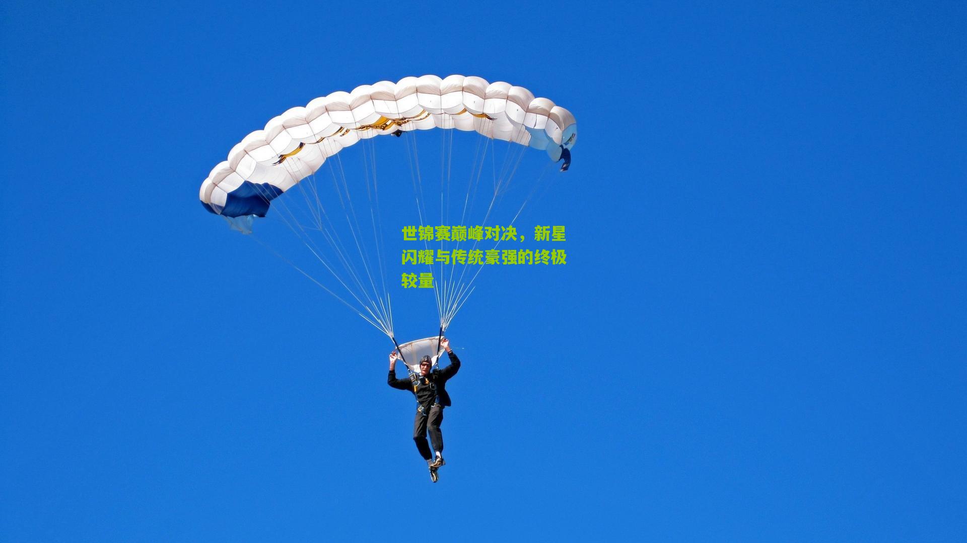 世锦赛巅峰对决，新星闪耀与传统豪强的终极较量